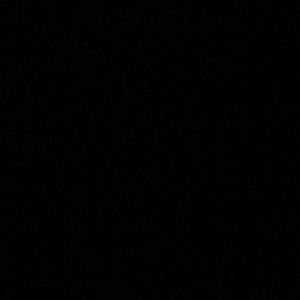 Meet your Posher, Riley